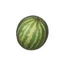 Watermelon icon