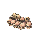 Desert Vase Collection 04 icon