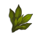 Kwuarm icon