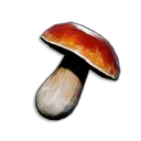Bittercap Mushroom icon