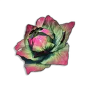 Cabbage icon