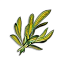 Marrentill icon