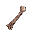 Undead Bone icon