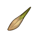 Ash Tree Seed icon