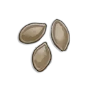 Pumpkin Seeds icon