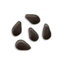 Watermelon Seeds icon