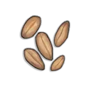 Wheat Seeds icon