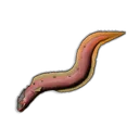 Raw Infernal Eel icon