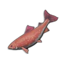 Raw Salmon icon