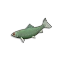 Raw Sardine icon