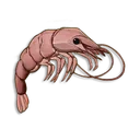 Pristine Shrimp icon